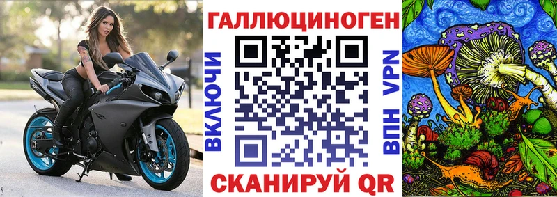 где купить наркоту  ОМГ ОМГ зеркало  Псилоцибиновые грибы GOLDEN TEACHER  Западная Двина 